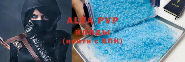 индика Козельск