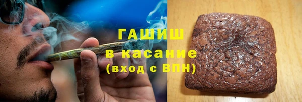 индика Козельск