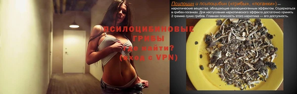 молекула духа Козловка