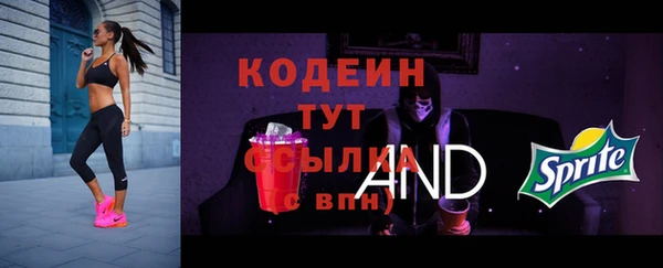 молекула духа Козловка
