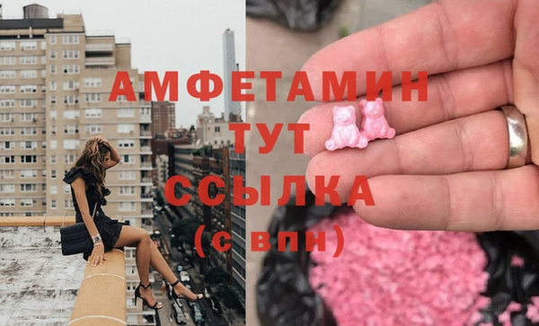 индика Козельск