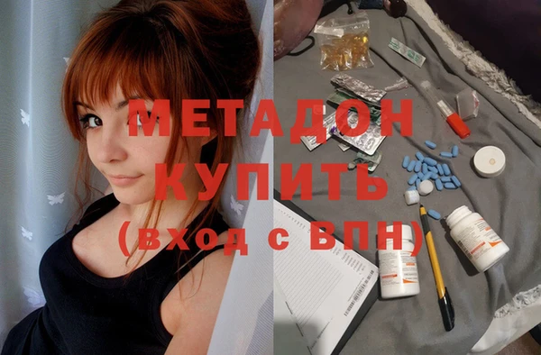 индика Козельск