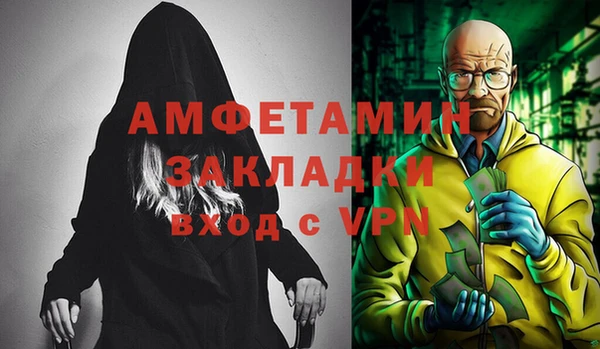 индика Козельск