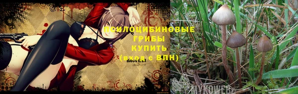 кокаин премиум Костерёво
