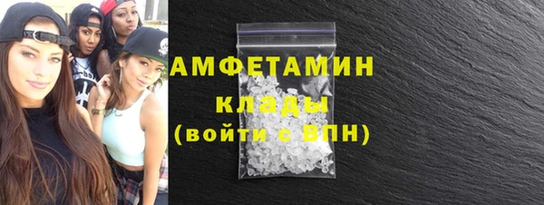 индика Козельск