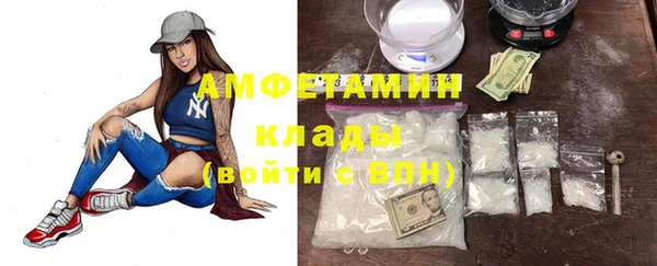 молекула духа Козловка