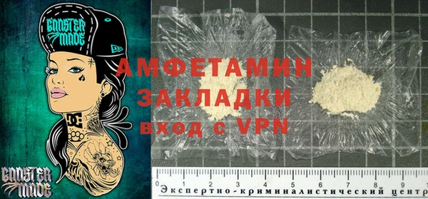 индика Козельск