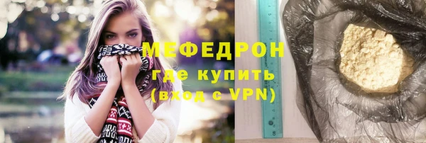 индика Козельск