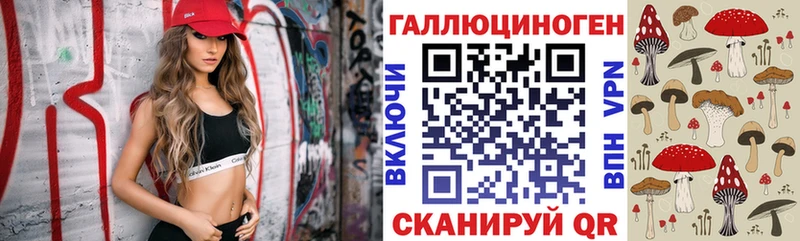 Псилоцибиновые грибы мухоморы  где купить наркотик  Шлиссельбург 
